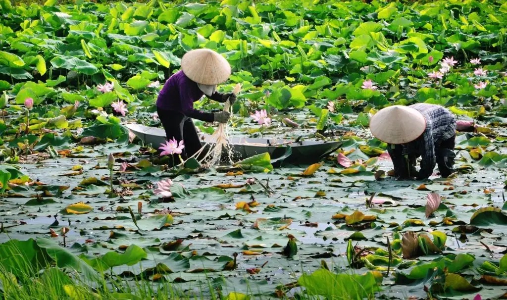 dac san hai duong 1 1024x606 1
