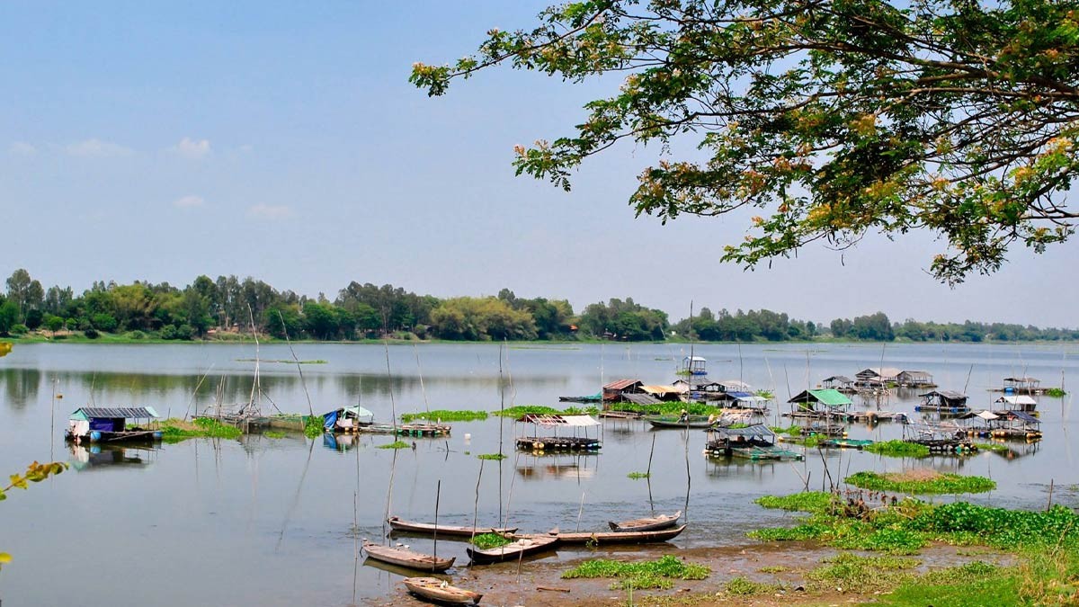 Cảnh sắc Búng Bình Thiên mùa nước nổi với sen và lục bình