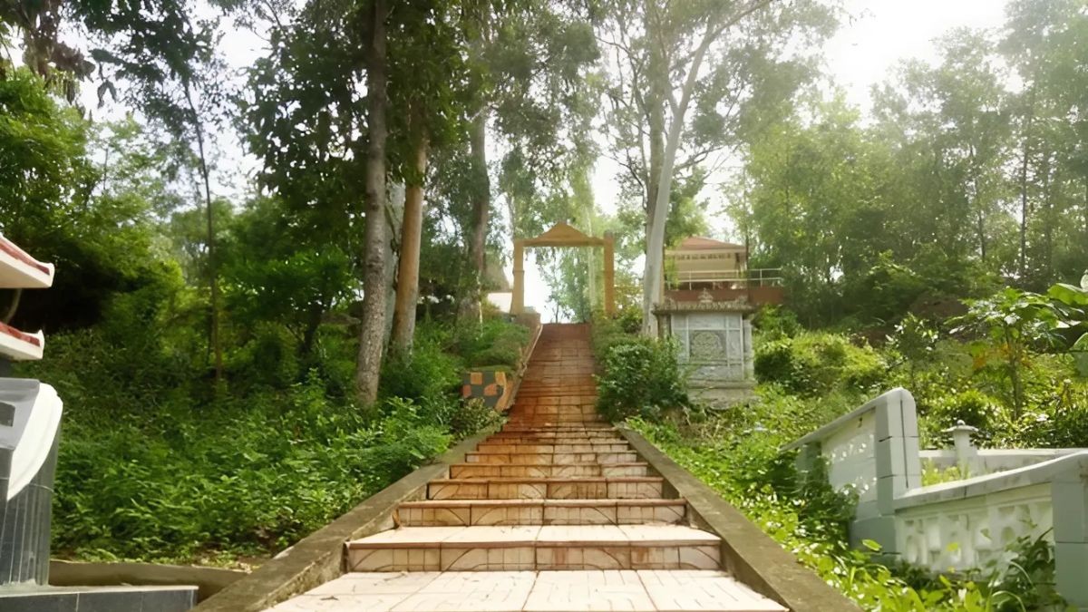 Khu di tích khảo cổ Cù Lao Rùa hoang sơ