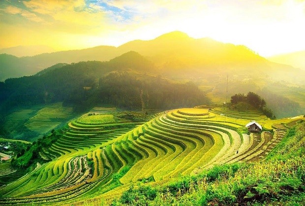 Ruộng bậc thang hùng vĩ tại Hà Giang