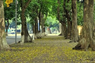 Đường Phan Đình Phùng – địa điểm chụp ảnh được nhiều người lựa chọn