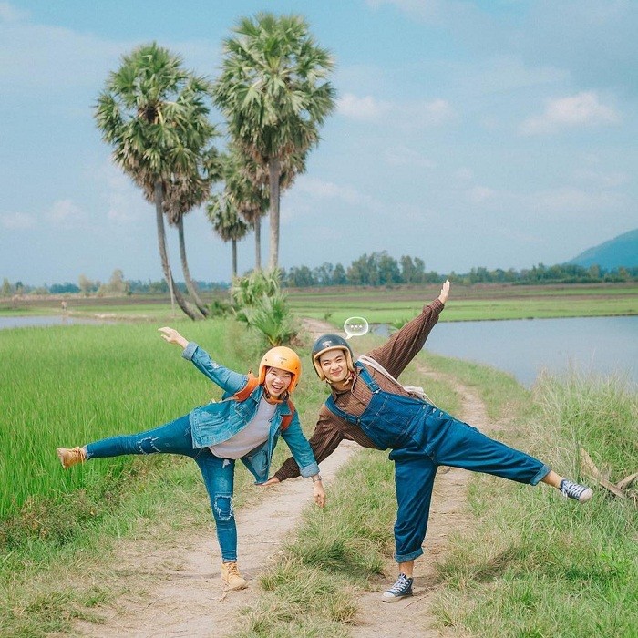 Cây thốt nốt trái tim trong ánh nắng chiều
