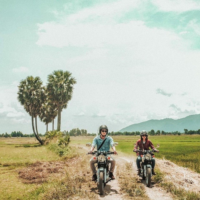 Cụm cây thốt nốt hình trái tim giữa không gian bao la