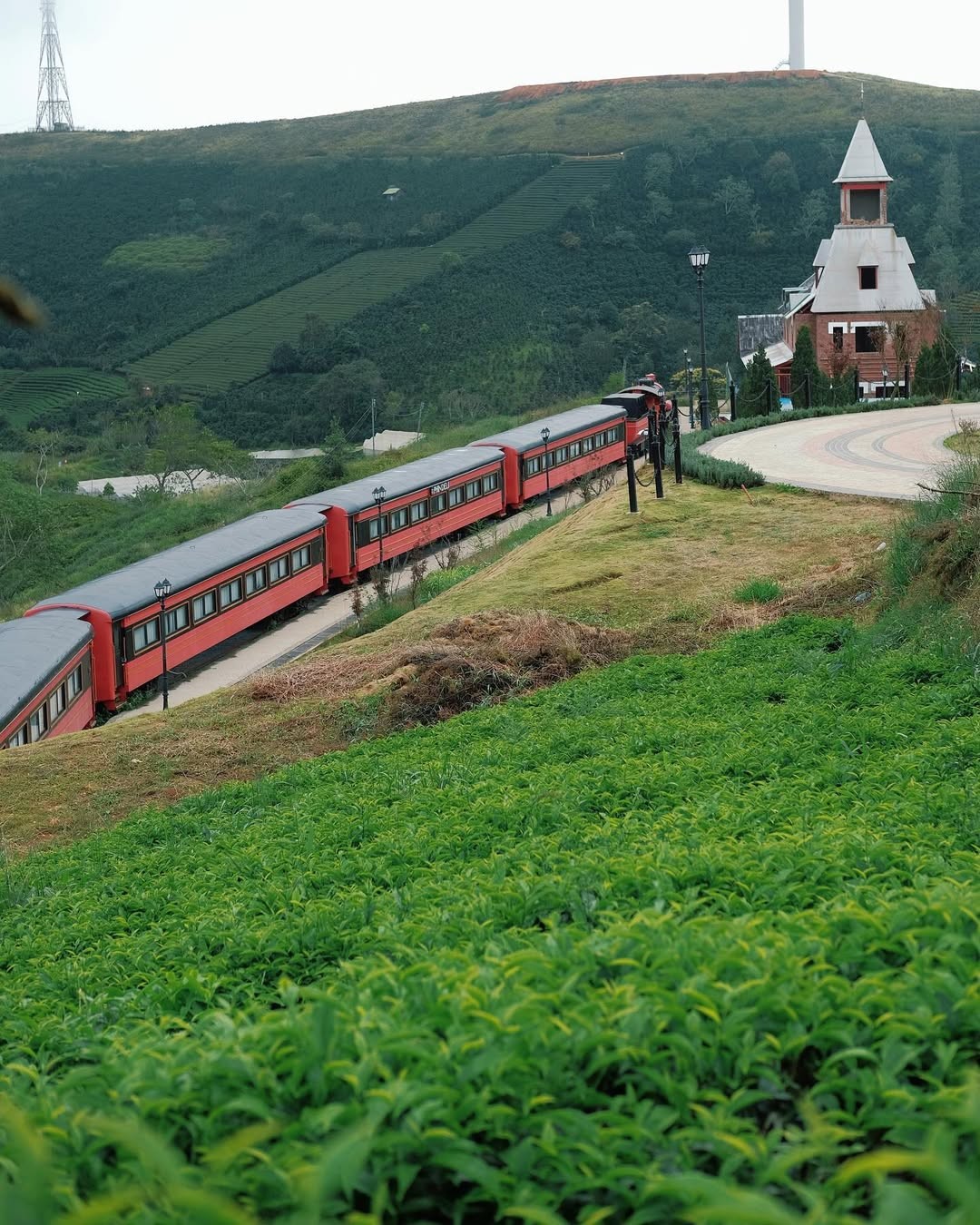 Vẻ đẹp tươi mới của đồi chè Cầu Đất vào mùa mưa nhẹ.