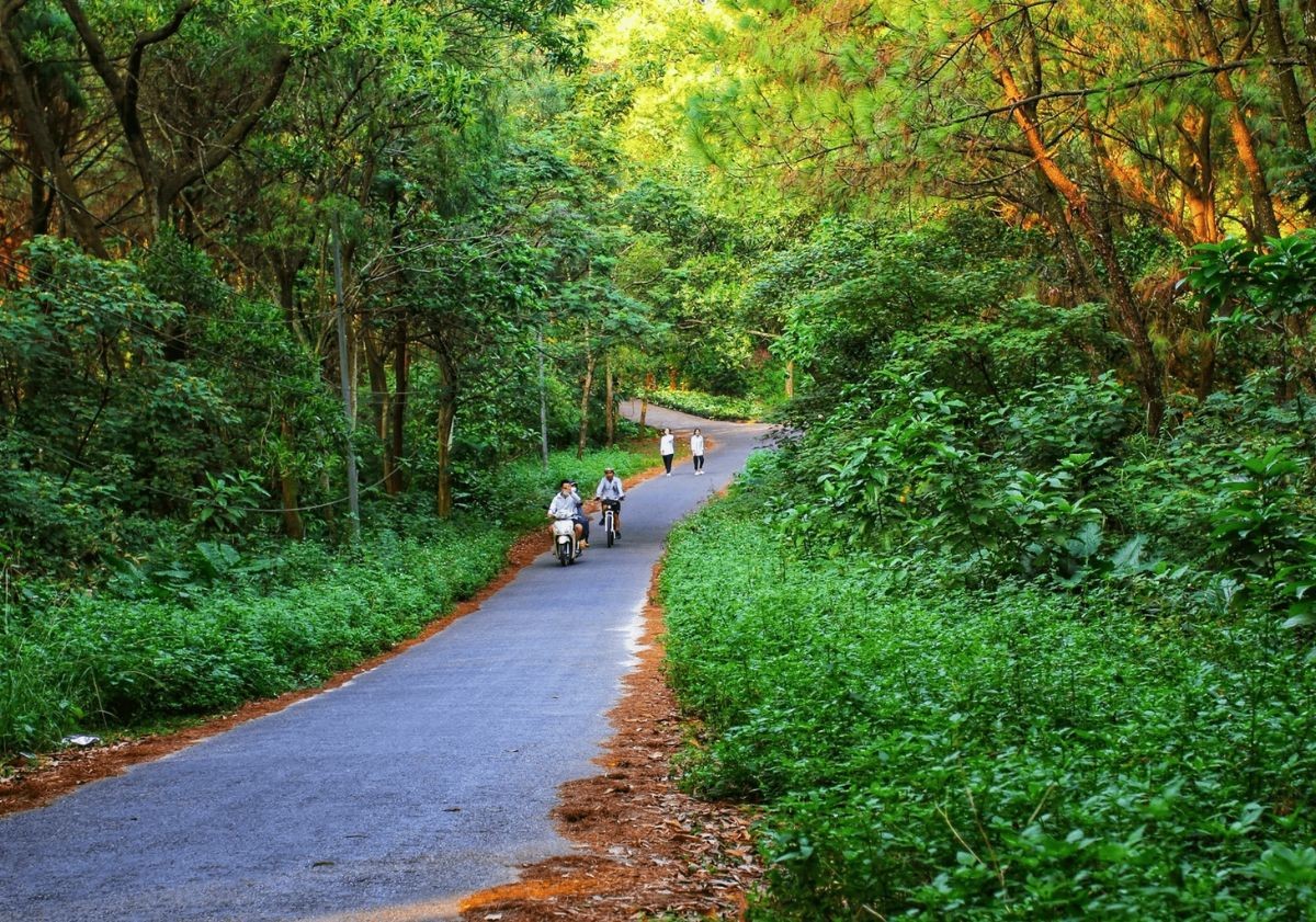 Không gian xanh mát tại Đồi Thiên Văn