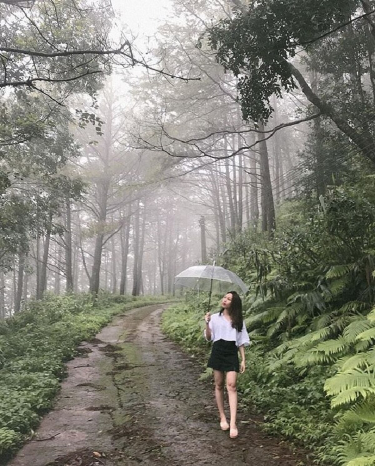 Ngắm nhìn Pleiku từ trên cao tại Núi Hàm Rồng