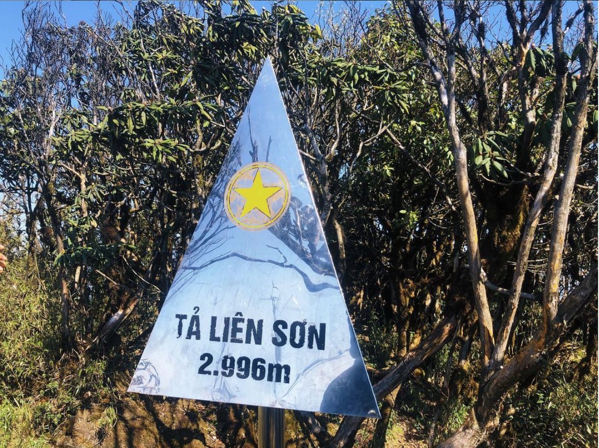 Rừng lá phong đỏ rực tại Tả Liên