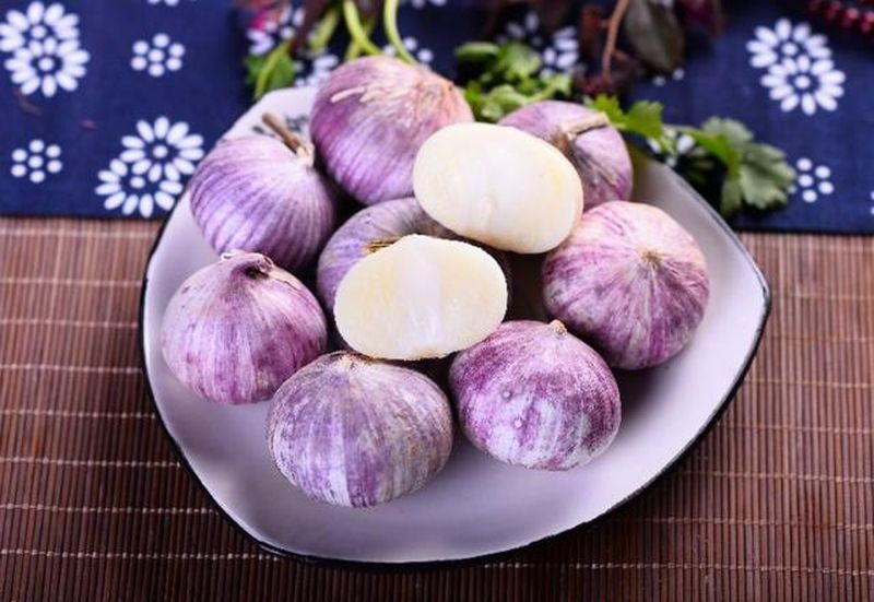 Tỏi tía Quảng Bình