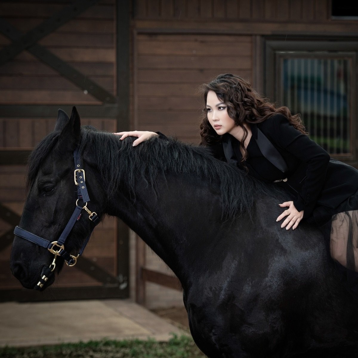 Cảnh cưỡi ngựa sang trọng tại Vinpearl Horse Academy