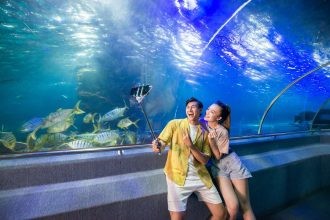 Thế giới đại dương Sea World