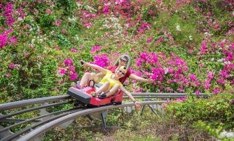 du ngoạn quanh đảo Hòn Tre với “Đường lượn nhớ đời”