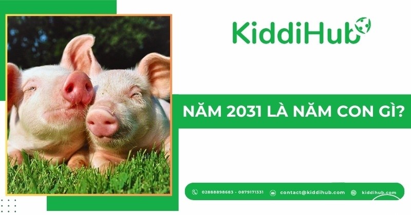 1741280947 nam 2031 la nam con gi 1