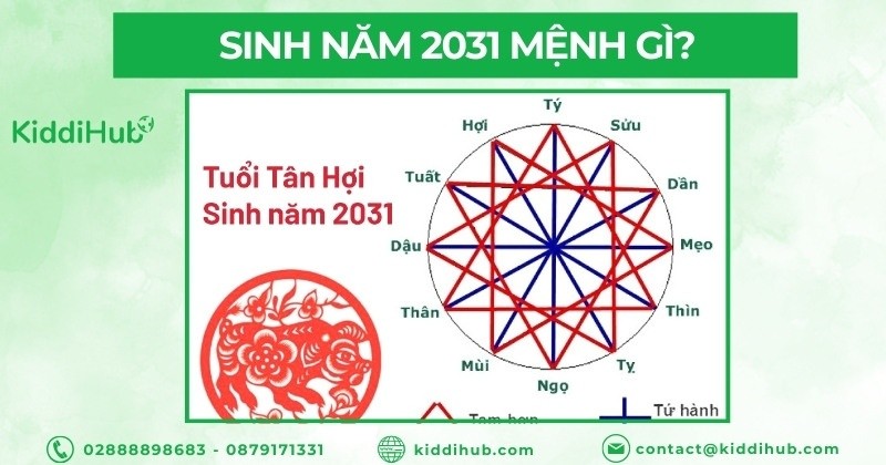 Biểu đồ minh họa các mối quan hệ tương sinh, tương khắc trong Ngũ hành, tập trung vào mệnh Kim.
