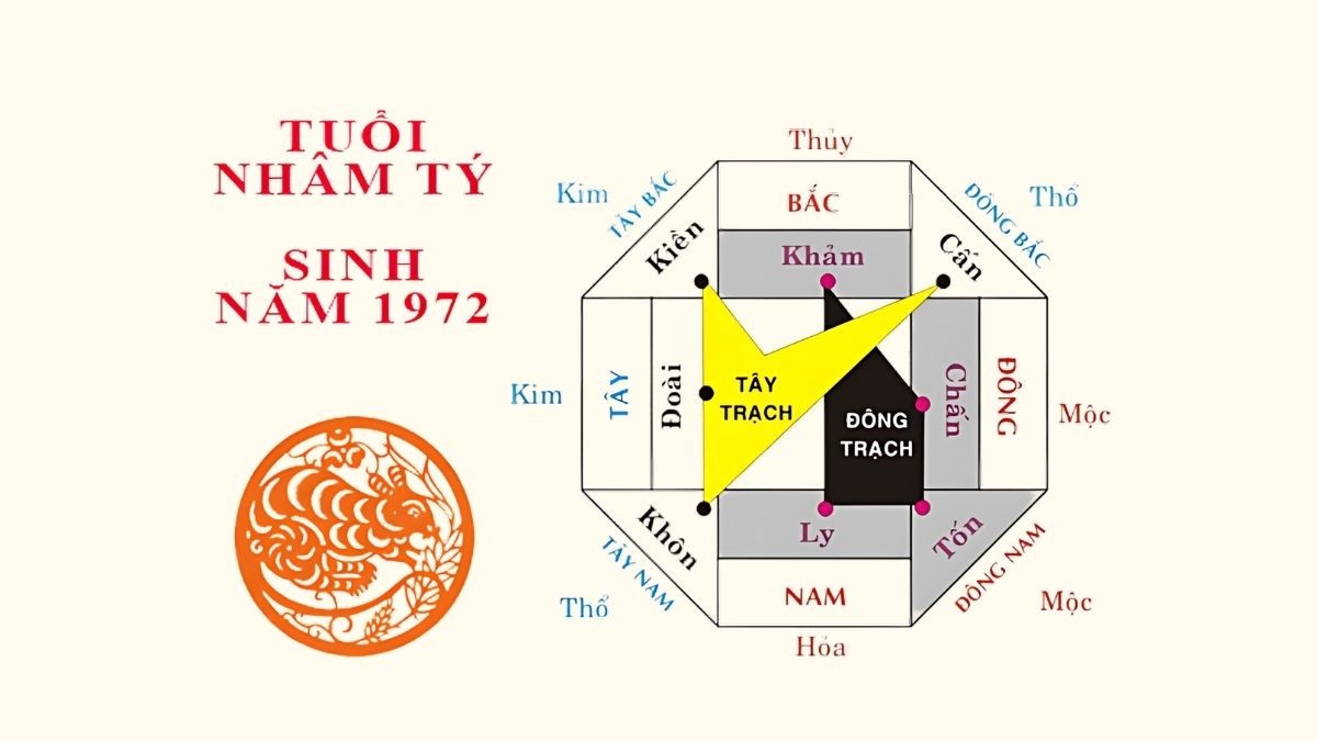 Sinh năm Nhâm Tý 1972 hợp hướng