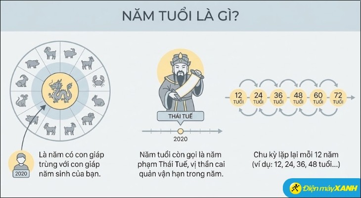 nam tuoi la gi 1 1