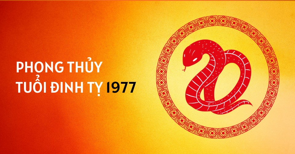 phong thuy dinh ty 1977 1 1